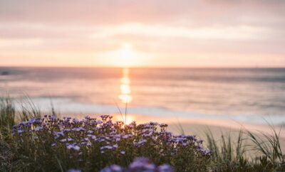 The Reviews are In: And It’s Good News for Vacationers Looking for a New Florida Experience on Ponce Inlet and Anna Maria Island.